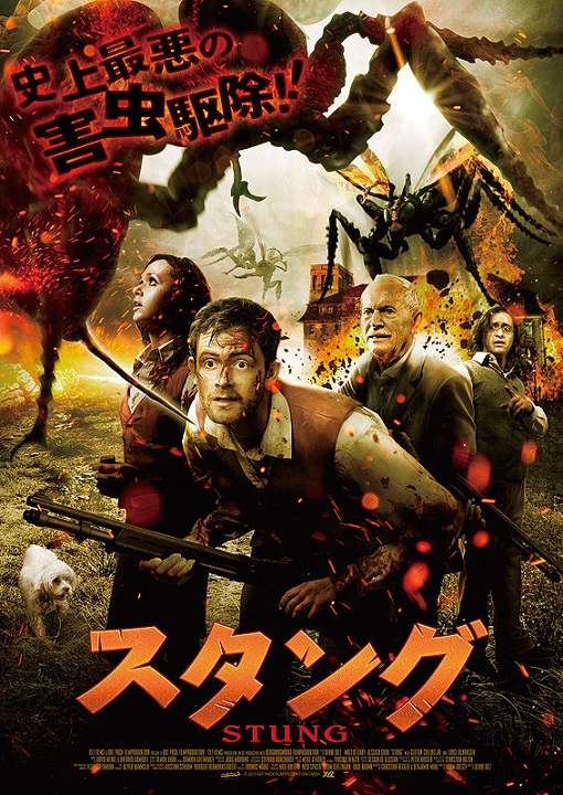 イメージ 7