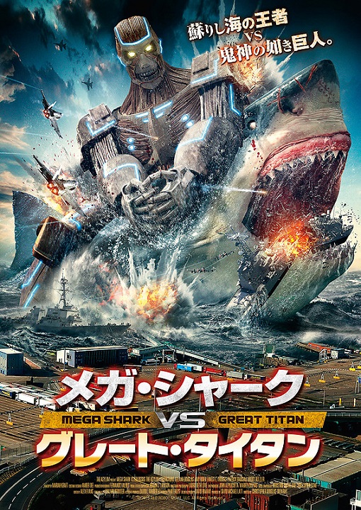 イメージ 7