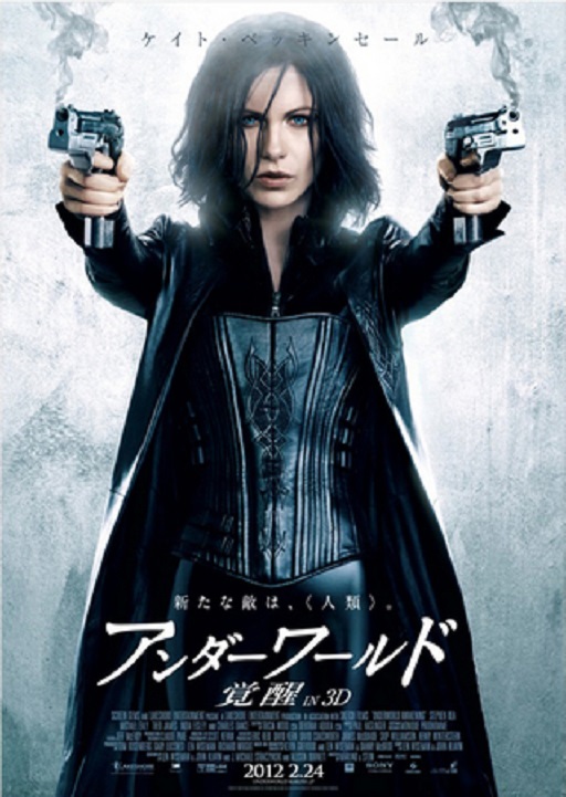 イメージ 6