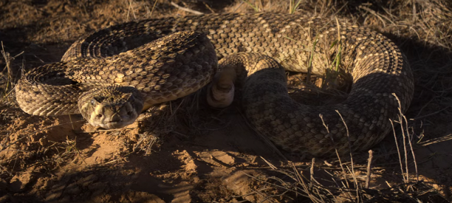 f:id:anttiorb:20200428045325p:plain f:id:anttiorb:20200428045325p:plain