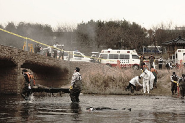 f:id:anttiorb:20200428090419j:plain f:id:anttiorb:20200428090419j:plain