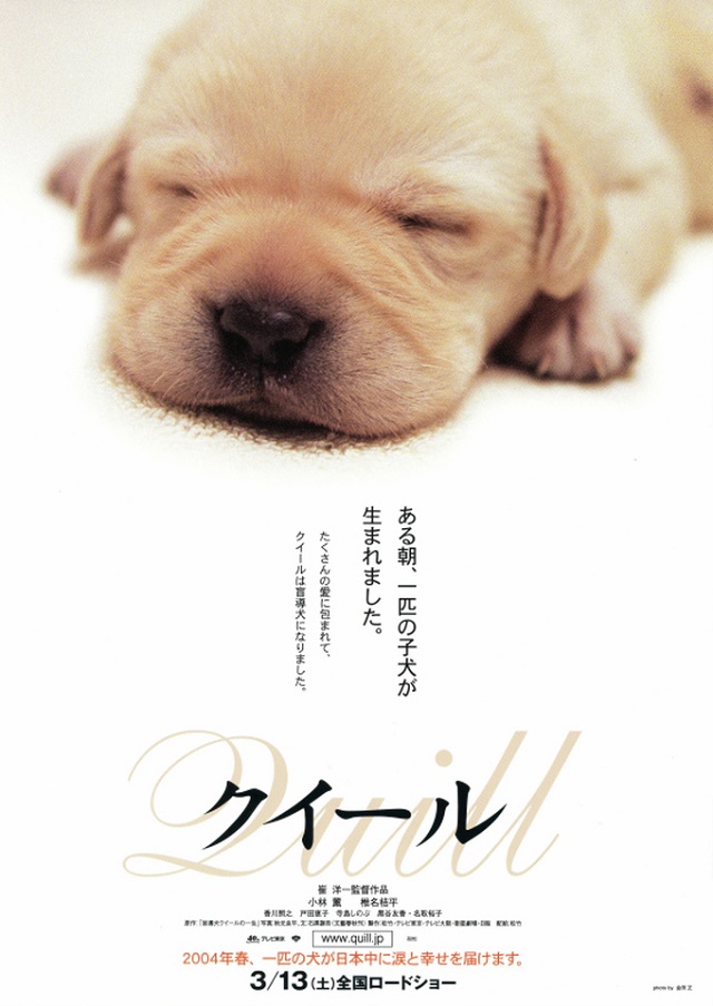 f:id:anttiorb:20201031051325j:plain
