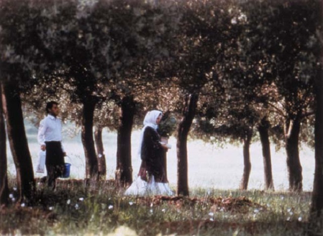 f:id:anttiorb:20210311203404j:plain