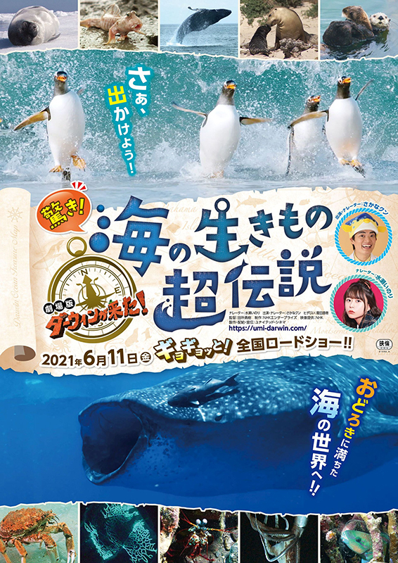 f:id:anttiorb:20210621200336j:plain