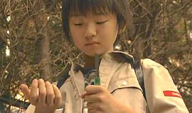 f:id:anttiorb:20210730165430j:plain