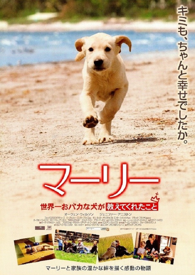 f:id:anttiorb:20211130204738j:plain