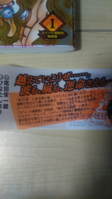 One Piece Novel A ワンピース ノベル エース スペード海賊団結成篇 尾田 栄一郎 おだ えいいちろう ひなた しょう 書評じゃないよ記録だよ ゞ