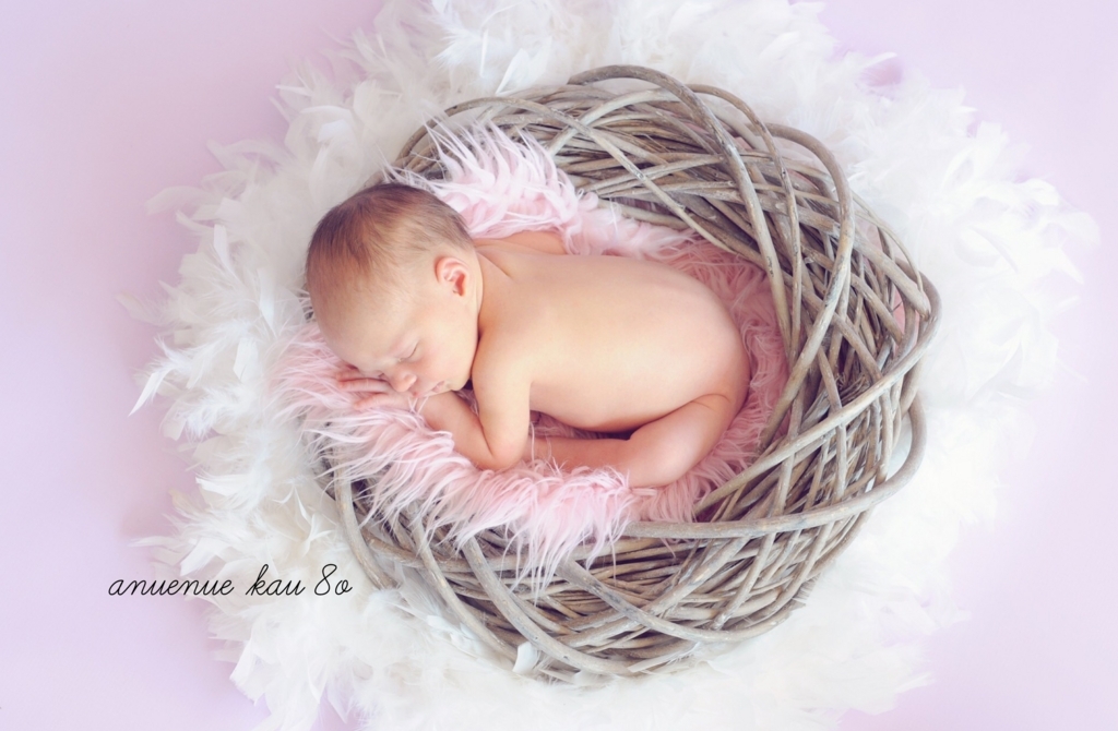 f:id:anuenuekau8o:20170719210014j:plain f:id:anuenuekau8o:20170719210014j:plain