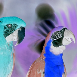 f:id:any-programming:20170428192953j:plain f:id:any-programming:20170428192953j:plain