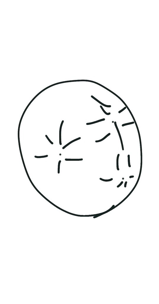 f:id:any119some1119:20210714164855j:image