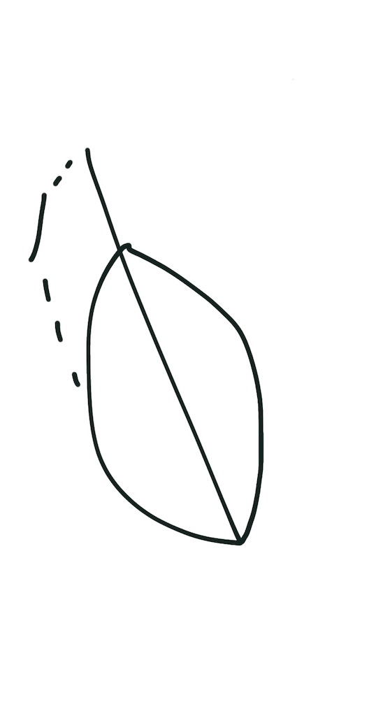 f:id:any119some1119:20220920133743j:image