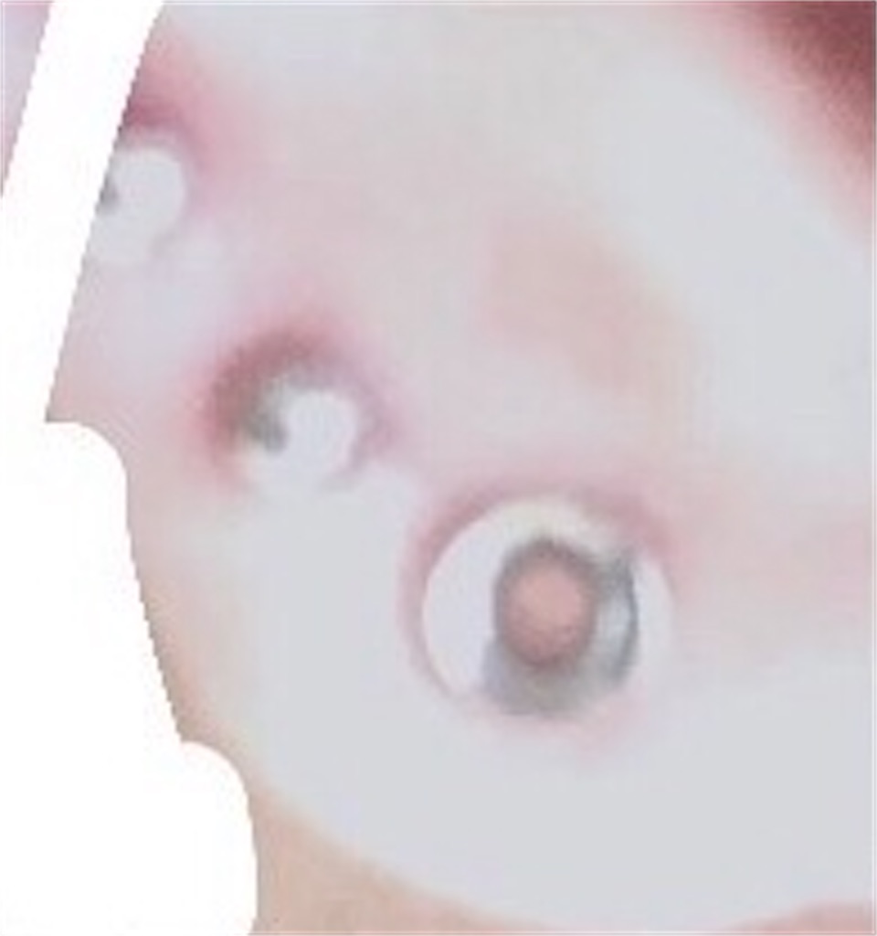 f:id:anyoha_joooozu:20210721014224j:image