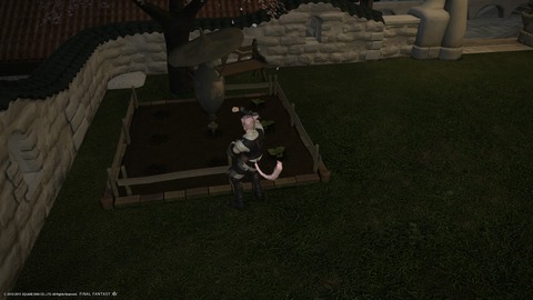 Anyu Gardener 2015_04_16 01_57_36