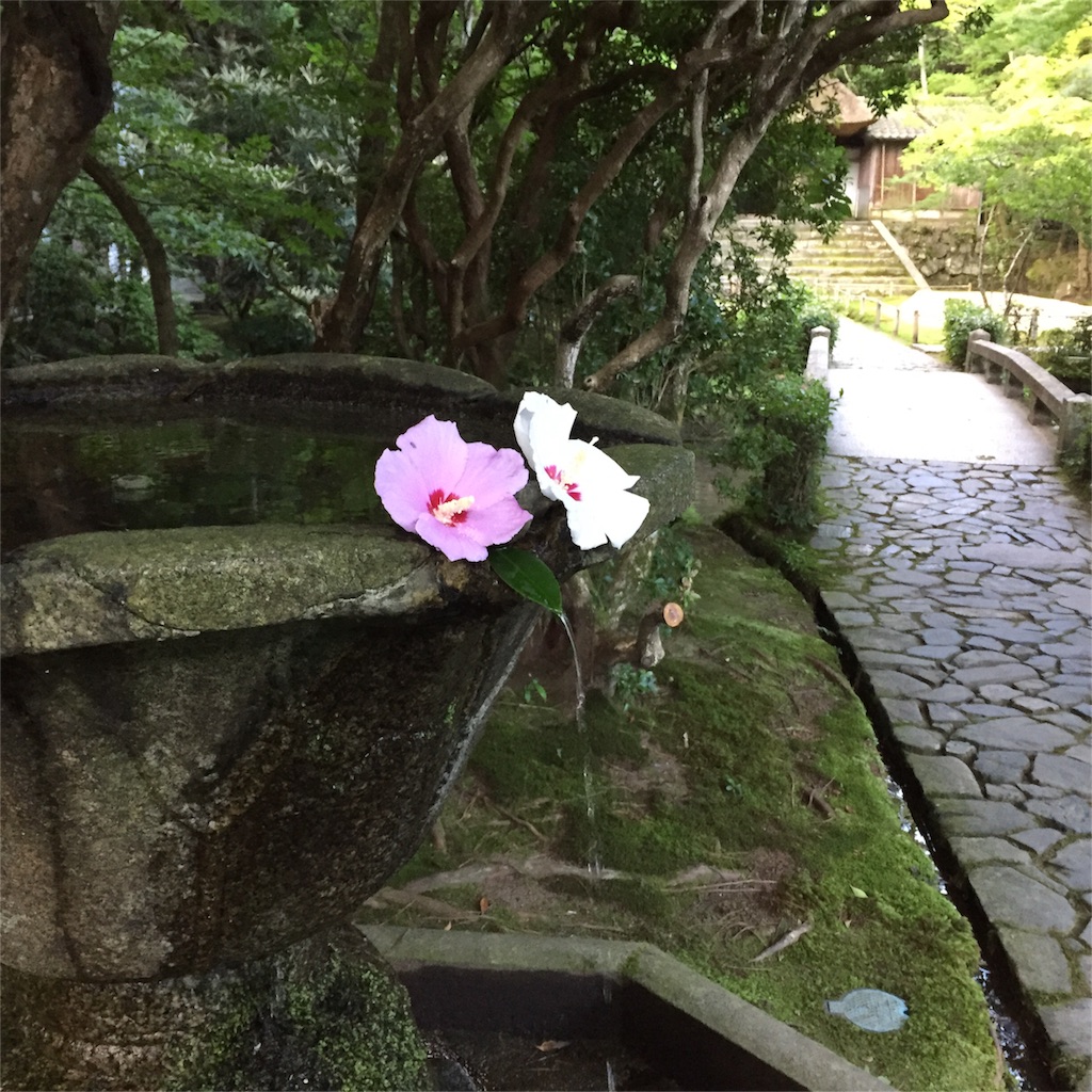 f:id:anyuni:20160802115946j:image f:id:anyuni:20160802115946j:image