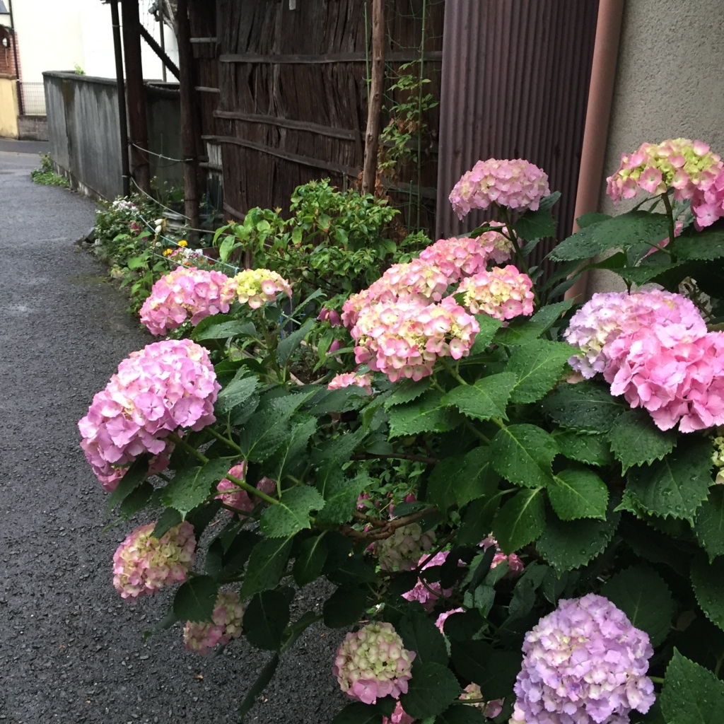 f:id:anyuni:20180201112146j:plain f:id:anyuni:20180201112146j:plain