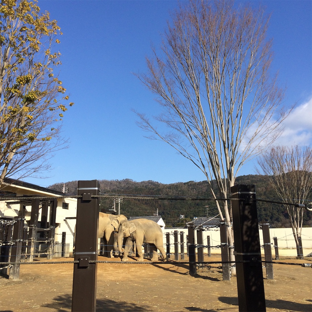 f:id:anyuni:20190127165312j:image f:id:anyuni:20190127165312j:image