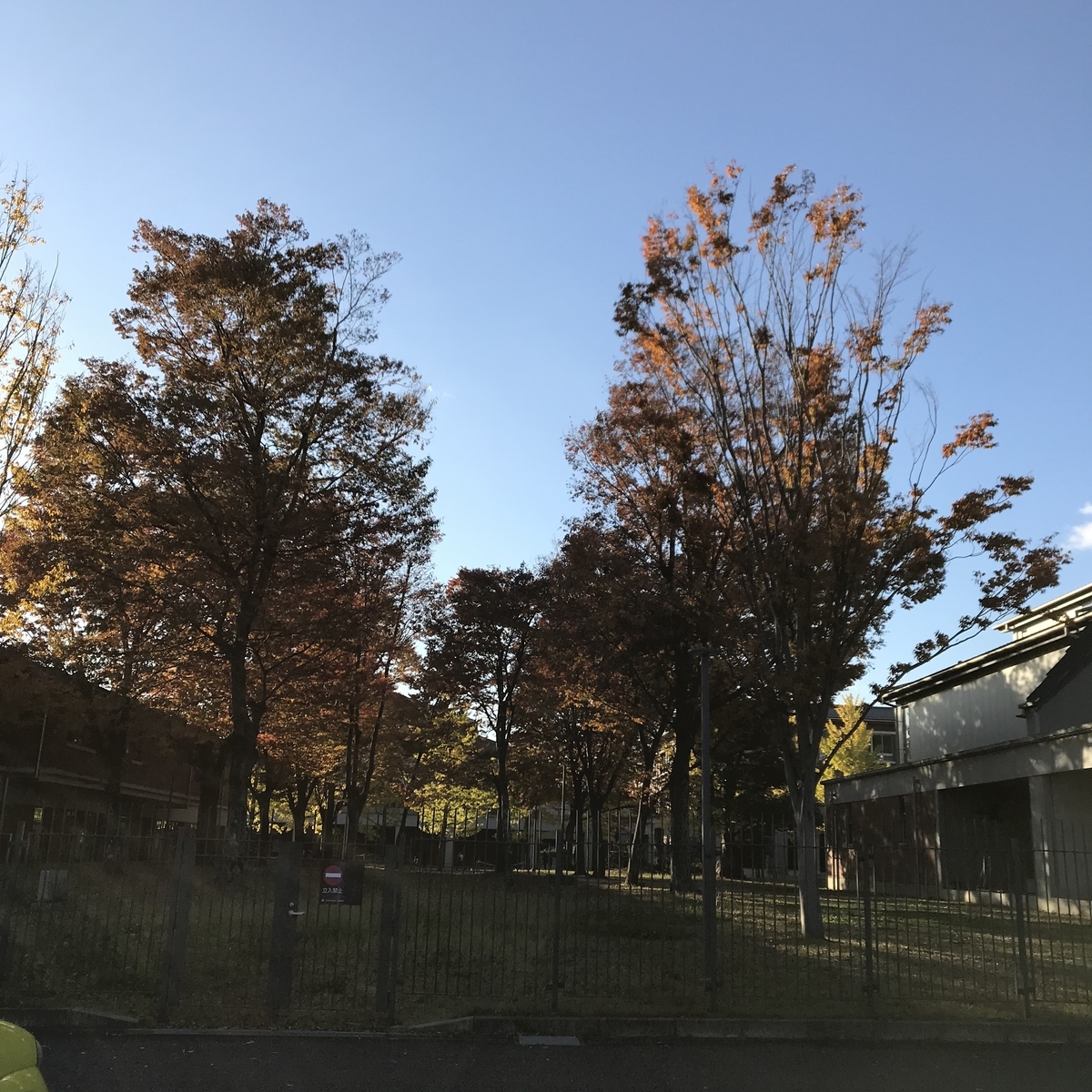 f:id:anyuni:20191112220332j:plain