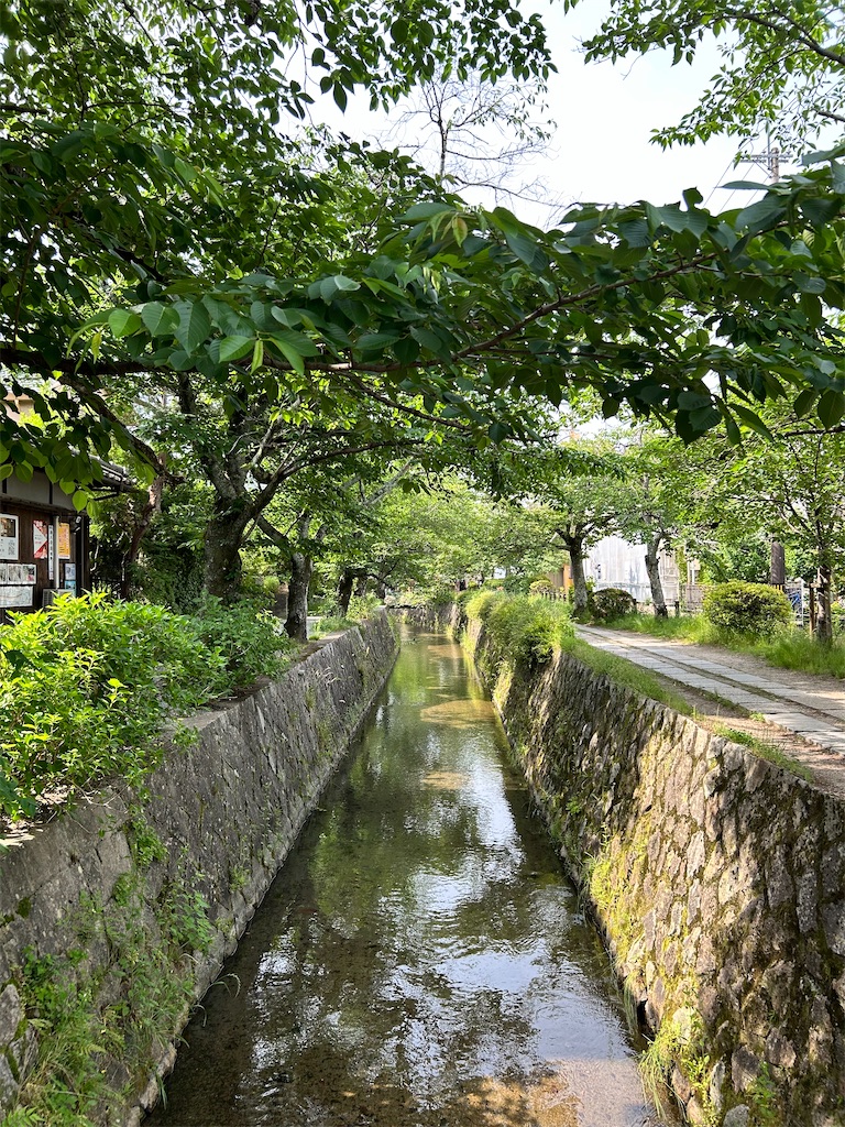 f:id:anyuni:20250528091339j:image
