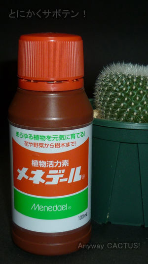 f:id:anywaycactus:20190618232330j:plain