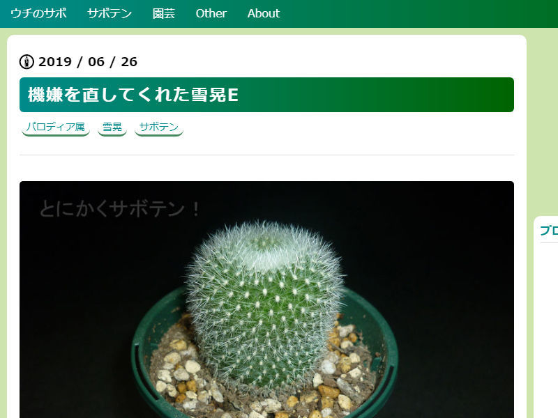 f:id:anywaycactus:20190629060306j:plain