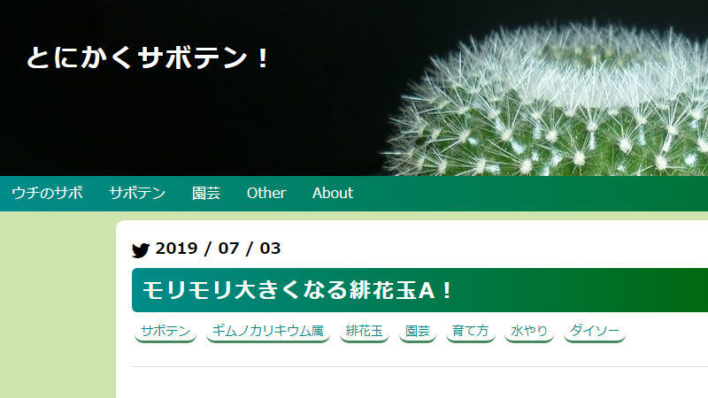 f:id:anywaycactus:20190704144443j:plain