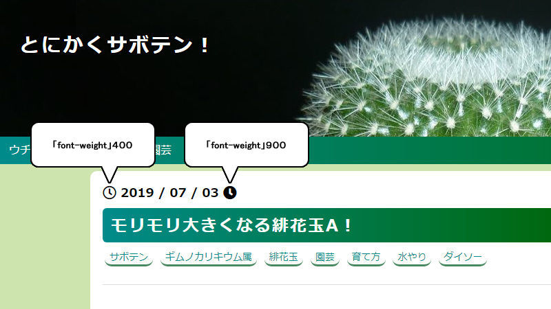 f:id:anywaycactus:20190704144448j:plain