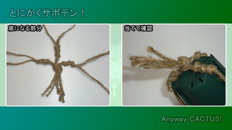 100均の麻ひもを結ぶだけ 簡単プラントハンガーの作り方 ハンギングプラント 100均 とにかくサボテン