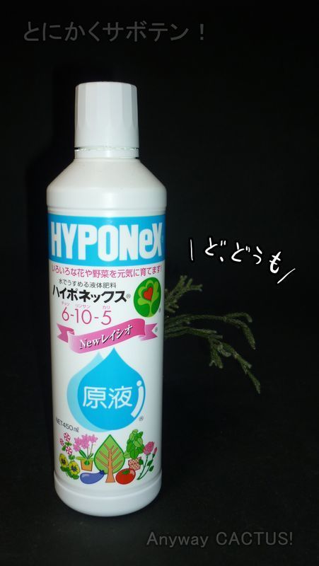 f:id:anywaycactus:20191005165115j:plain