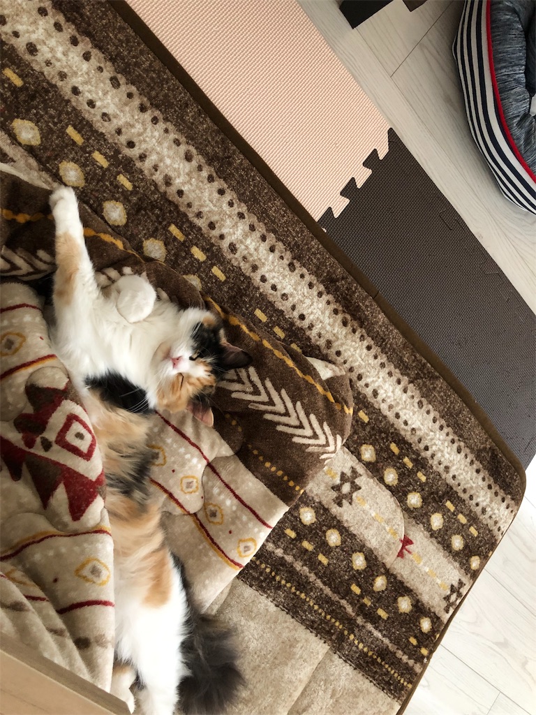 f:id:anz0502:20191126143605j:image