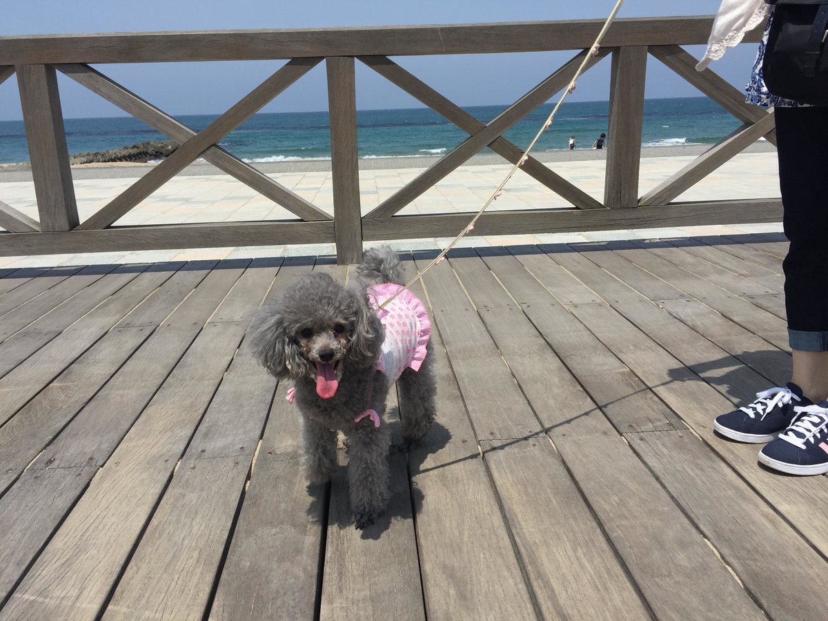 f:id:anz0502:20191127171955j:plain