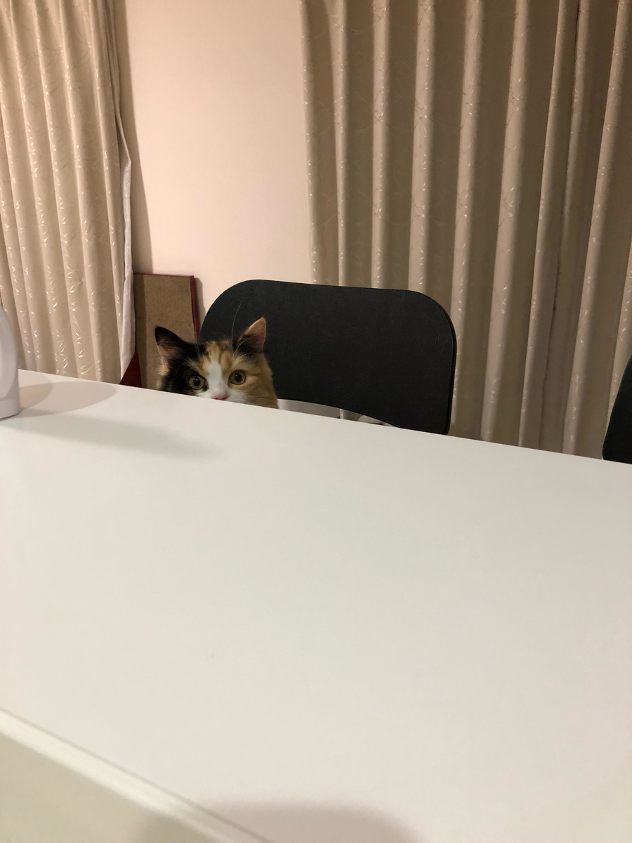 f:id:anz0502:20191203151719j:plain