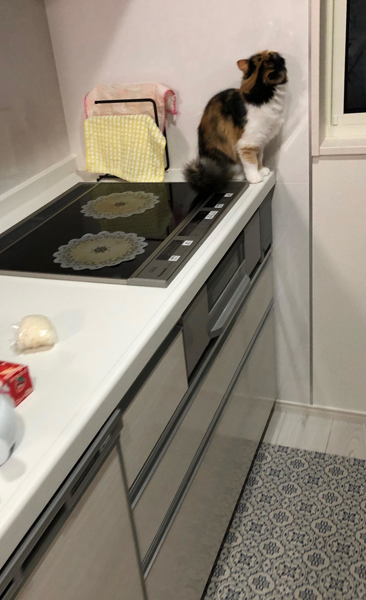 f:id:anz0502:20191203153941j:plain