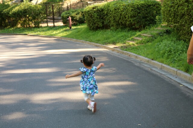 f:id:anzaburo:20160827124528j:image f:id:anzaburo:20160827124528j:image