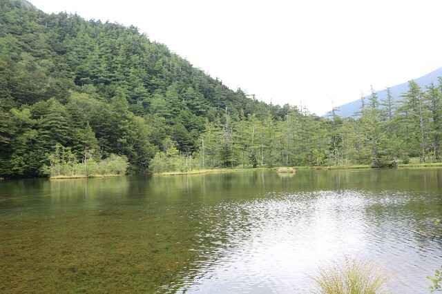 f:id:anzaburo:20160829143747j:image f:id:anzaburo:20160829143747j:image