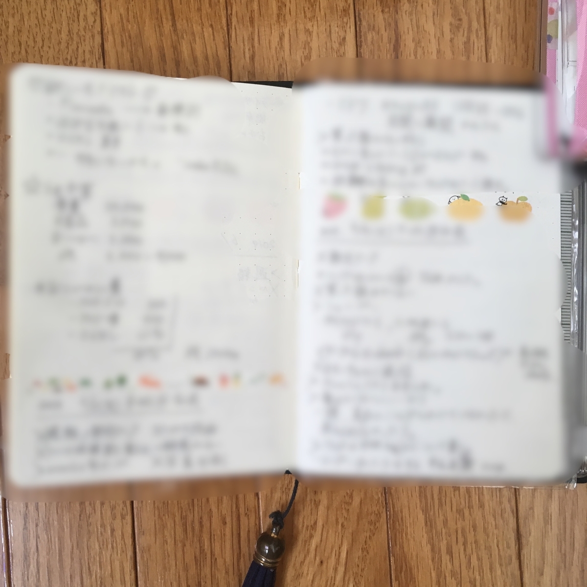 f:id:anzdaifuku:20190605150124j:plain