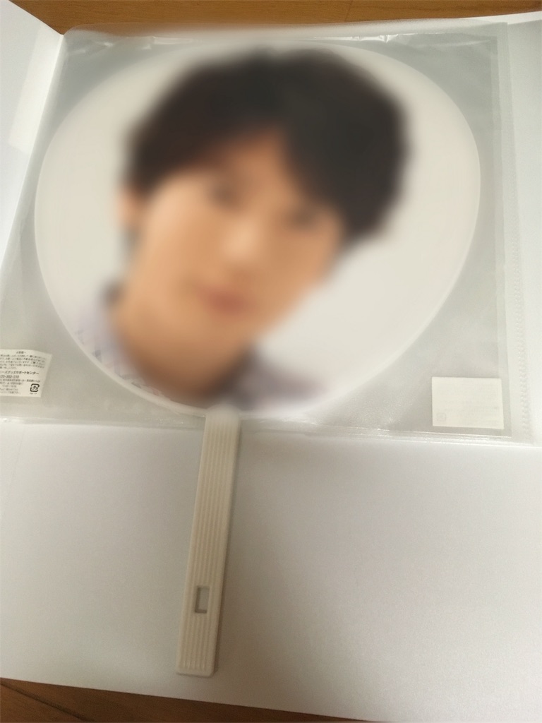 f:id:anzmfp_7239:20180607234825j:image