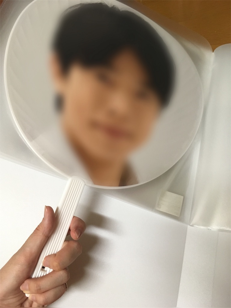 f:id:anzmfp_7239:20180608181045j:image