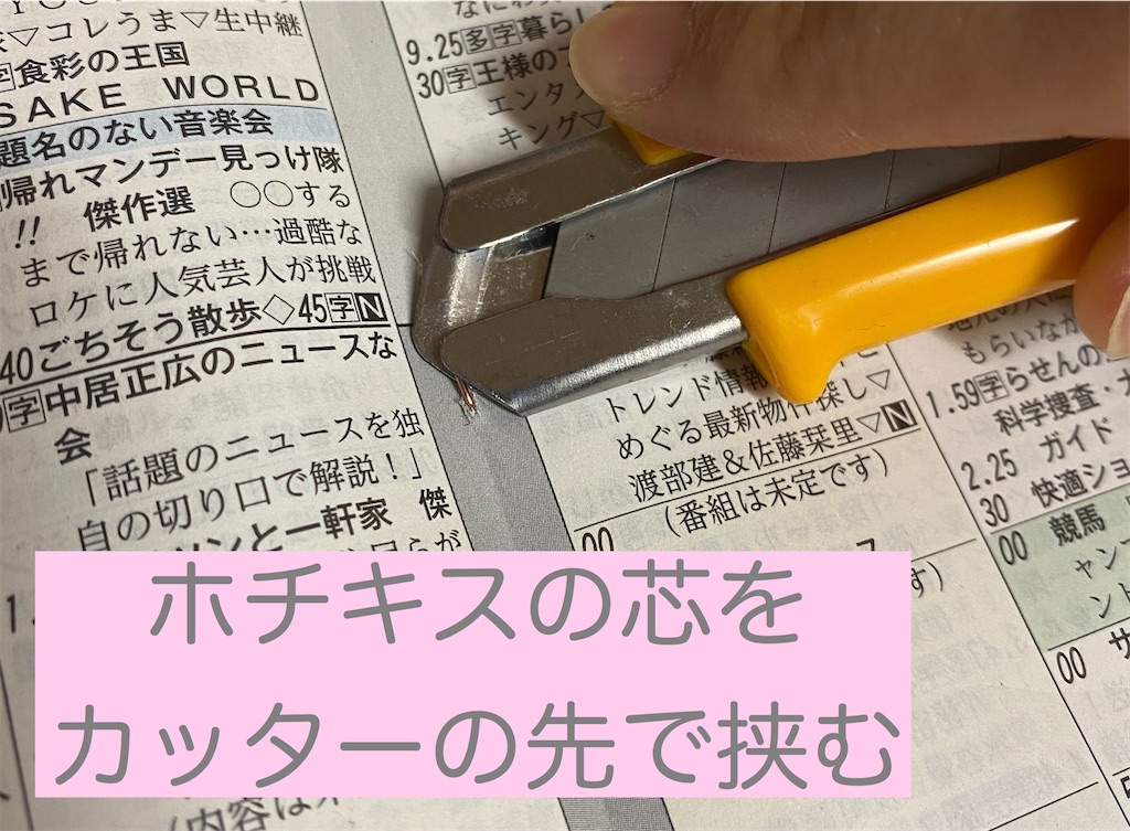 f:id:anzmfp_7239:20200418010155j:image