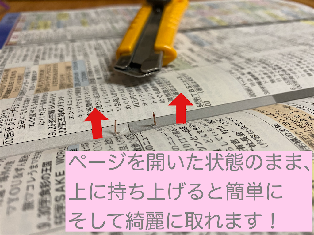 f:id:anzmfp_7239:20200418010240p:image