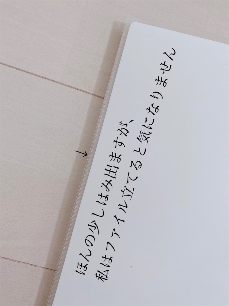 f:id:anzmfp_7239:20200830183047j:image