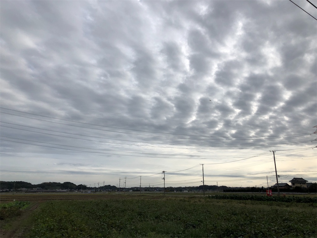 f:id:anzu810:20191023143116j:image