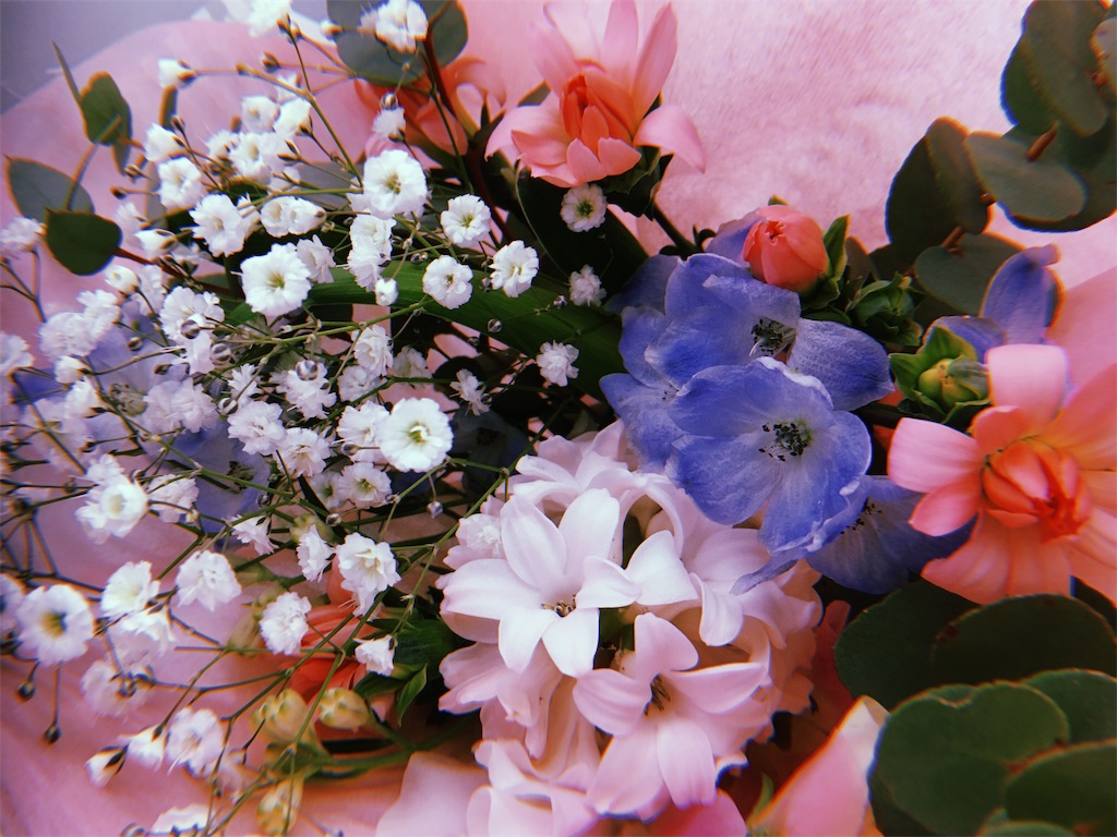 f:id:anzu_share:20190226015051j:image