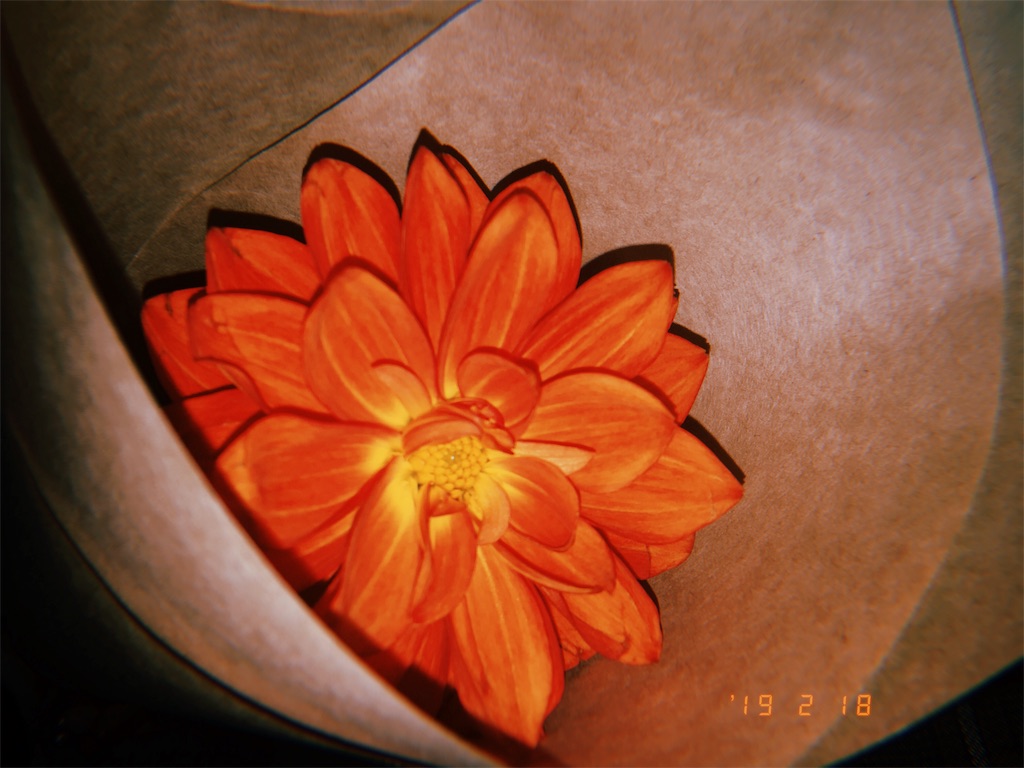 f:id:anzu_share:20190226015055j:image