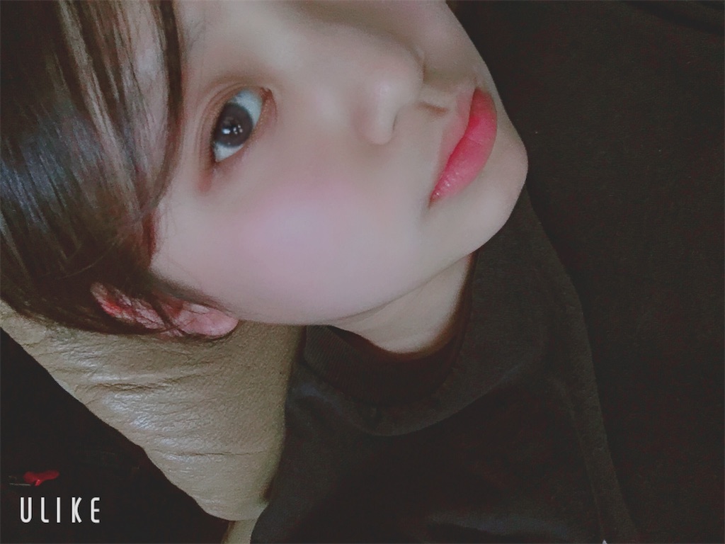 f:id:anzu_share:20190619020744j:image