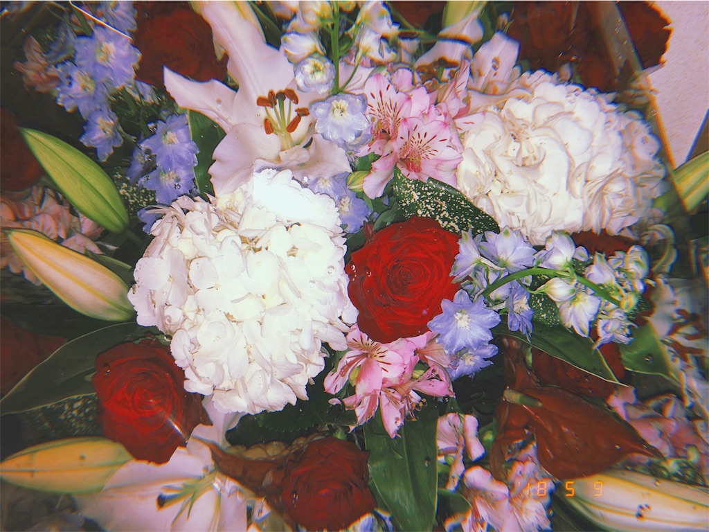 f:id:anzu_share:20190724175140j:image