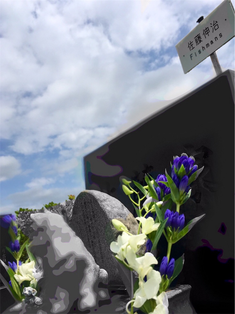 f:id:anzuchans:20180618201358j:image