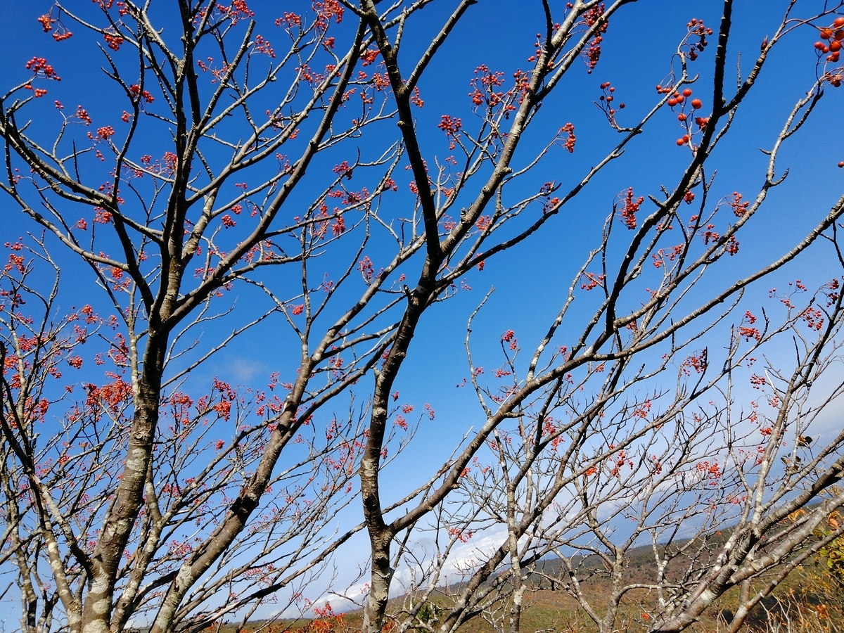 f:id:anzufig:20211015181215j:plain