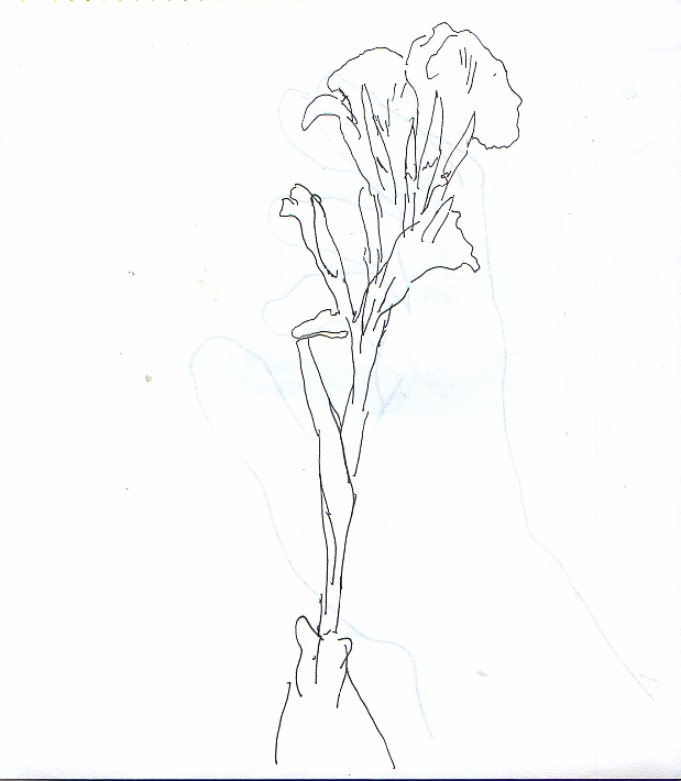 f:id:anzymatsuri:20200424161921j:plain