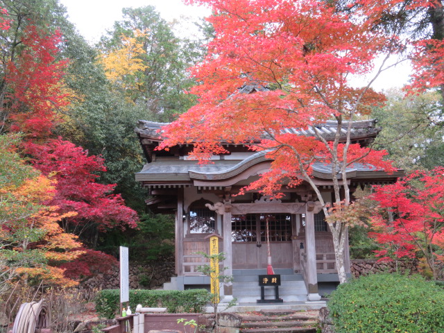 もみじの紅葉は兵庫県観光百選の光明寺 @ 三田市 - 三田のはげ・おとん
