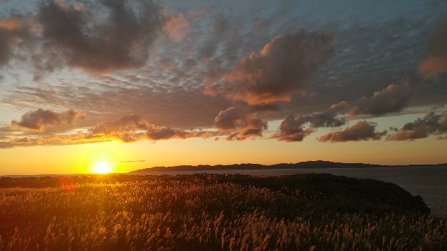 f:id:ao-a:20230919113839j:image